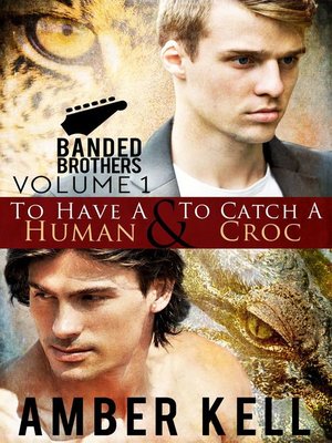 cover image of Banded Brothers, Volume 1